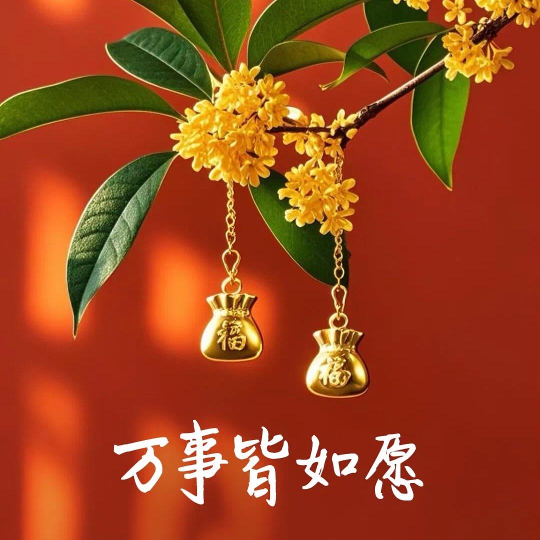 尚美女装珍珍