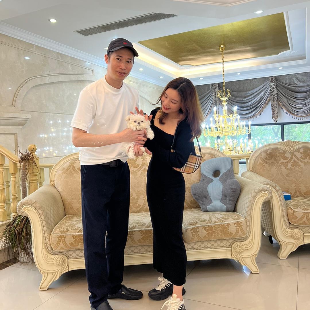 林大叔精灵毛舍犬舍