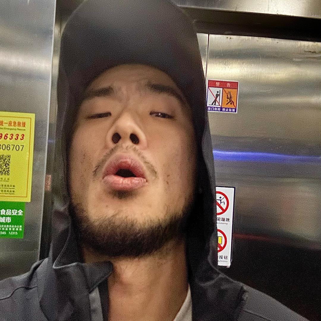 麦派老狗