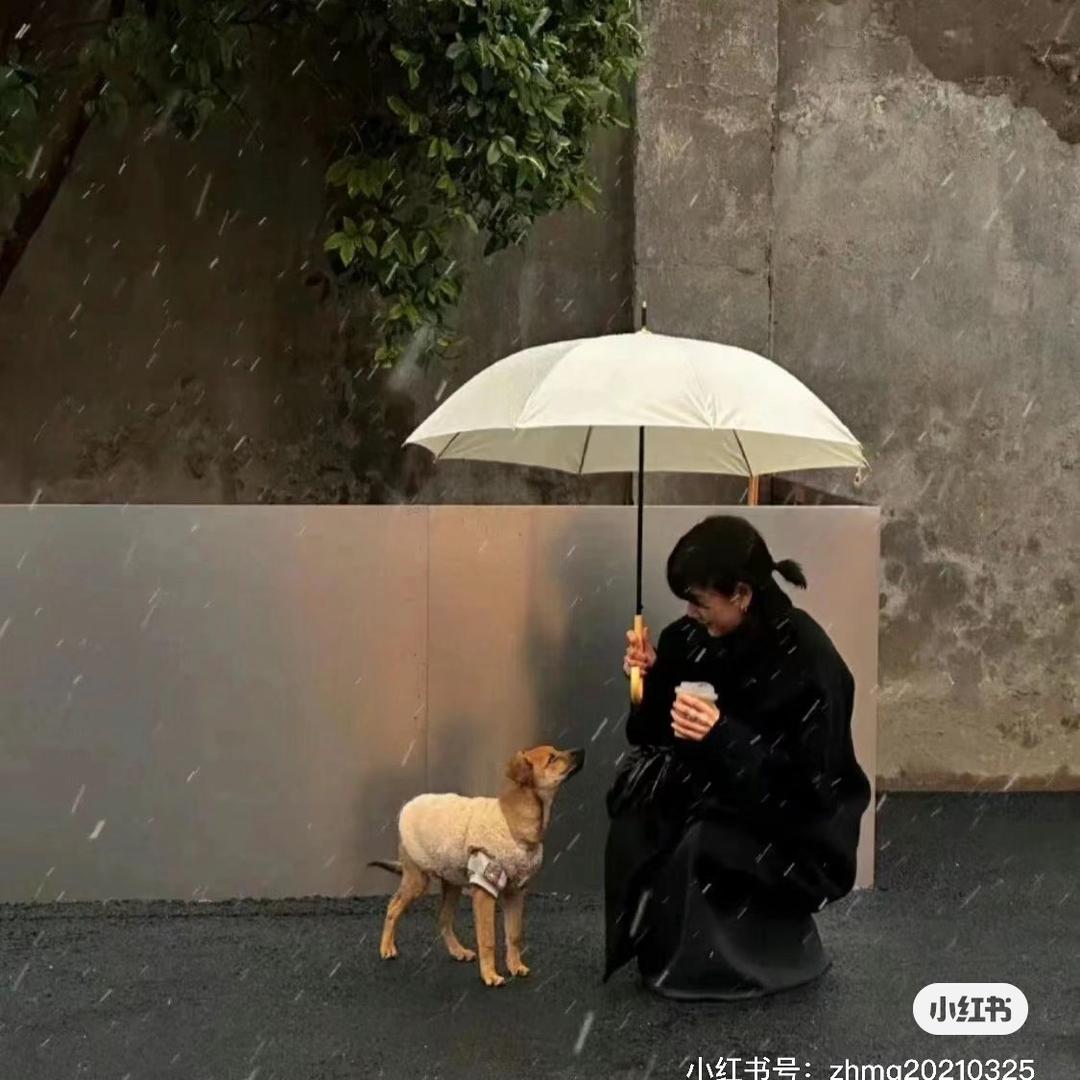 两碗熊泡饭🌊⁴²²