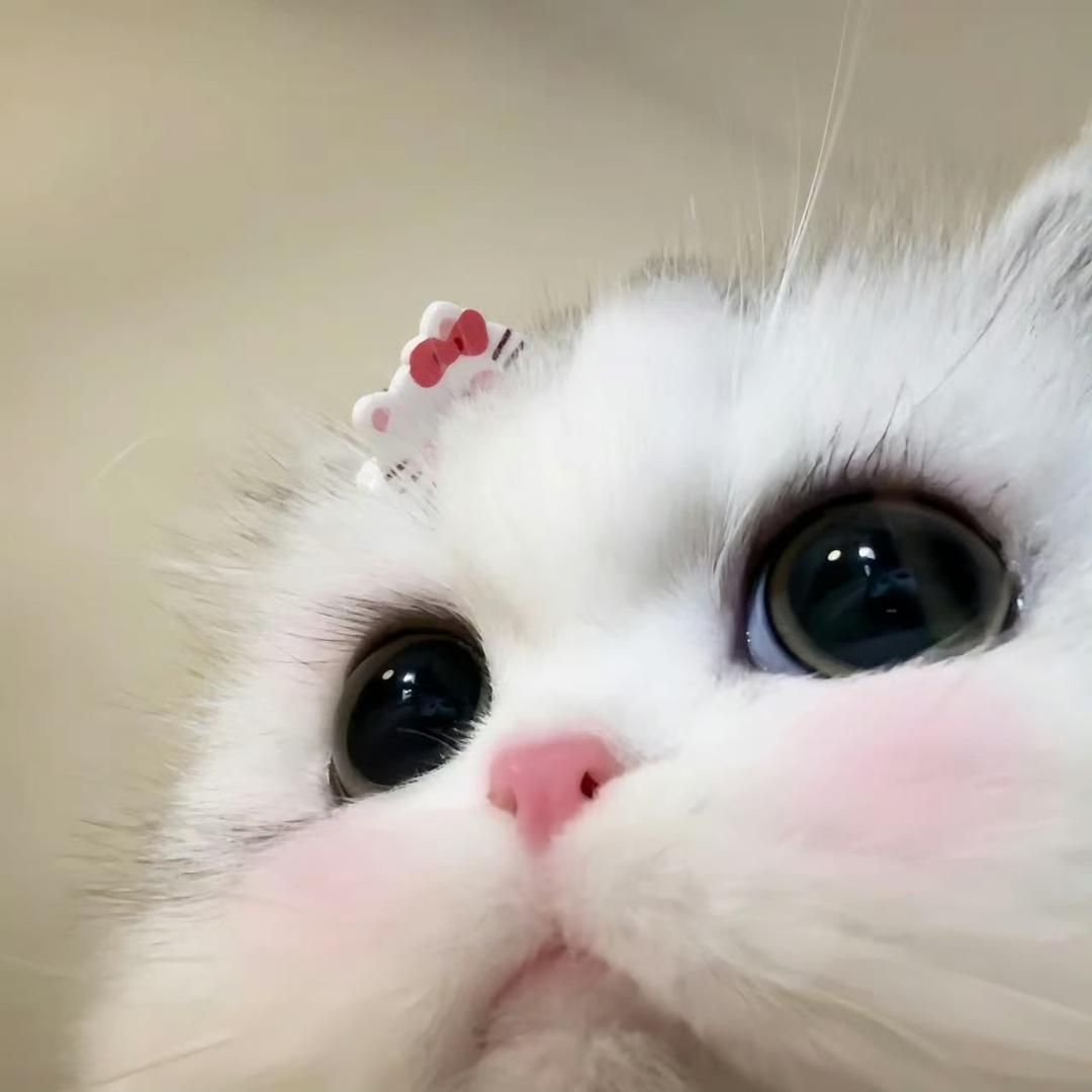 熙熙cool