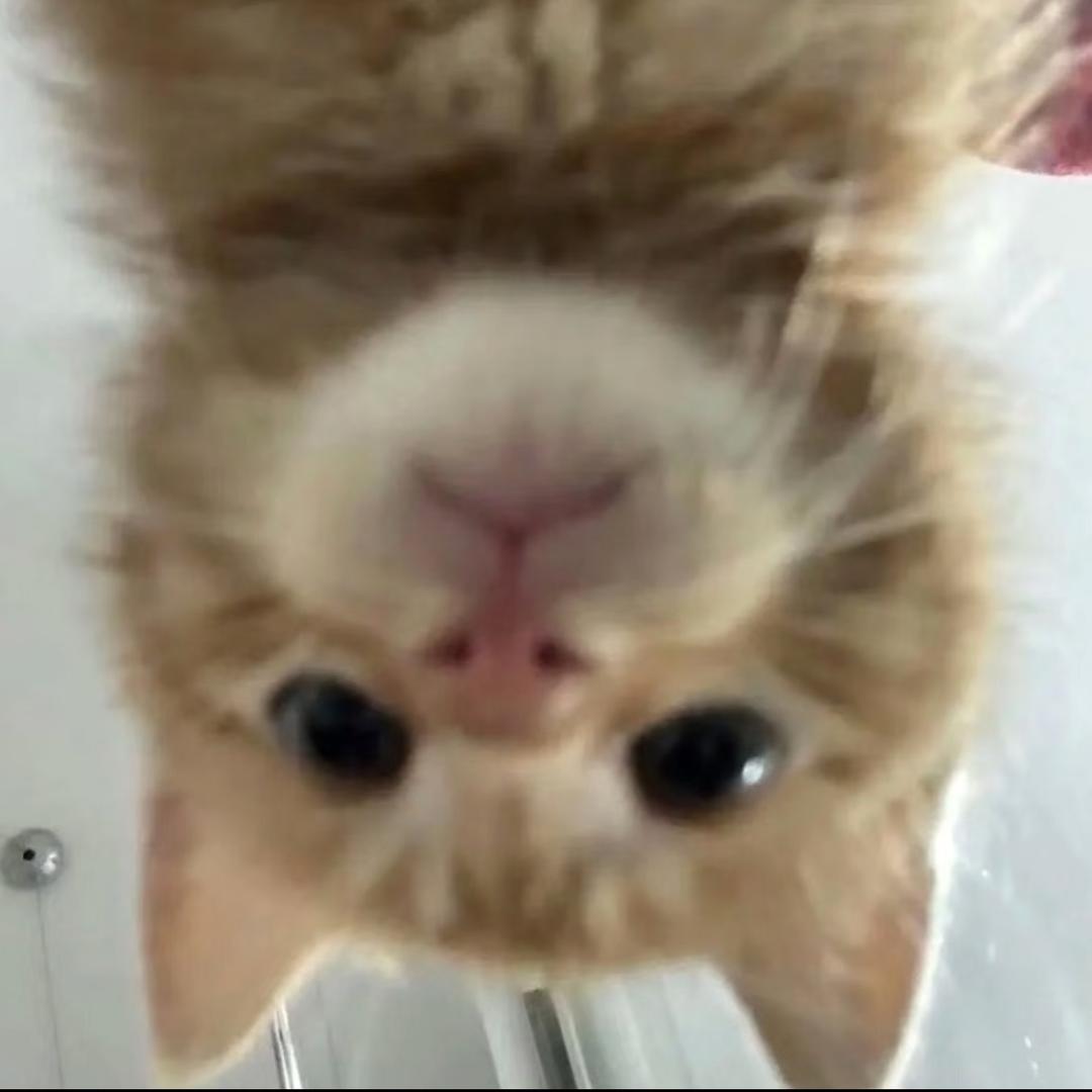 1. .