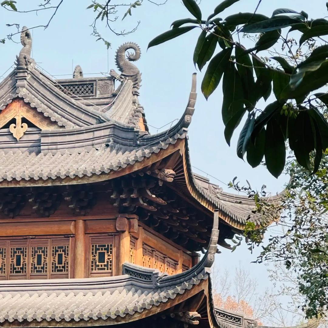 静悟禅心