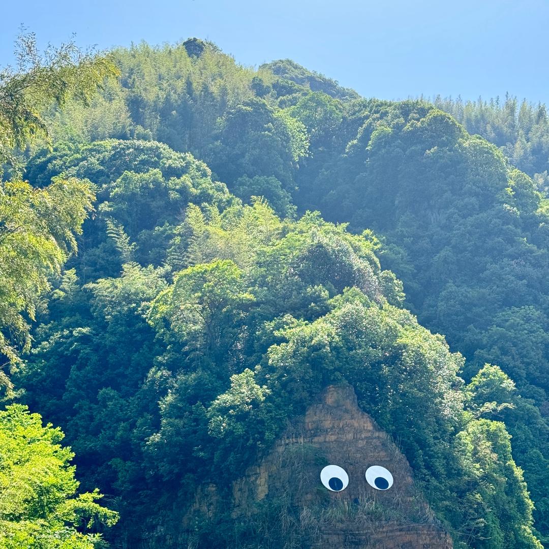 特累一天