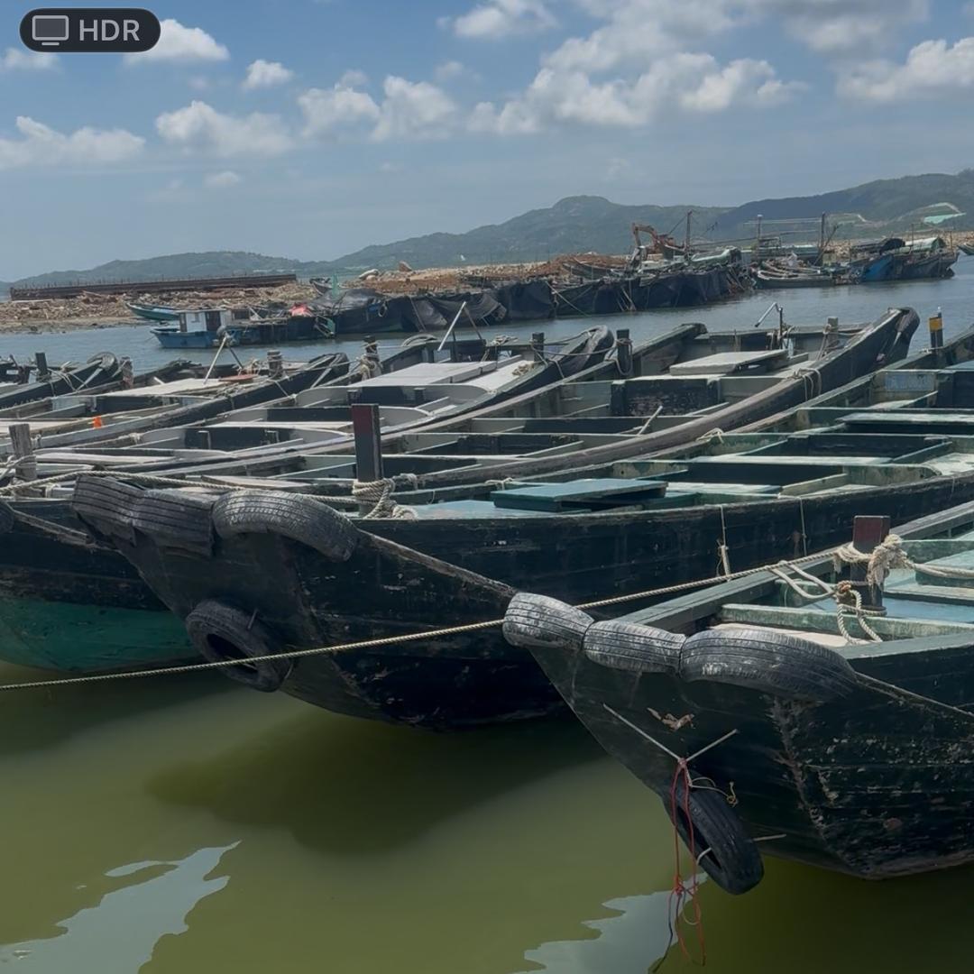 鲜腊·浅海鱼