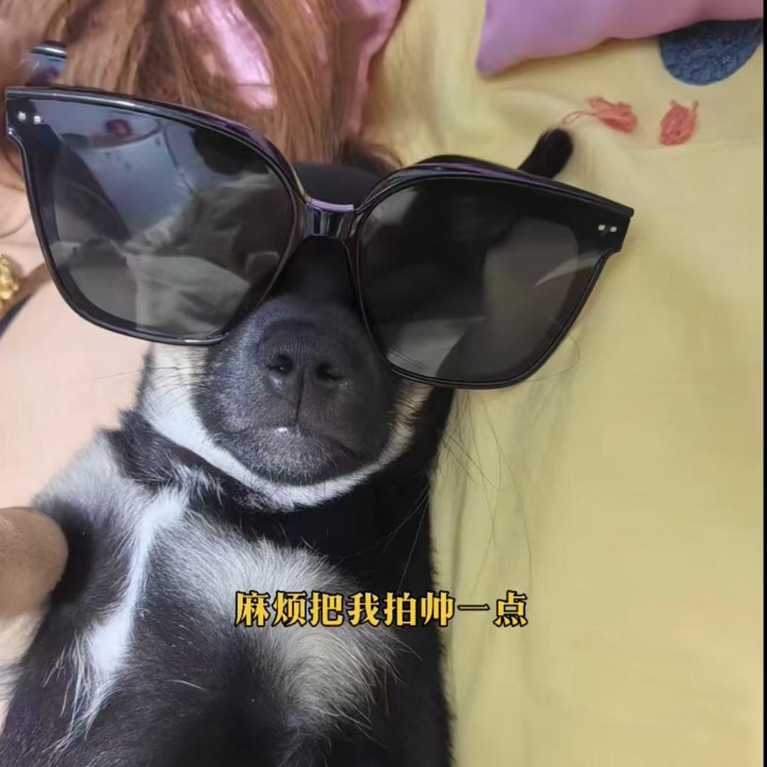 吴所谓