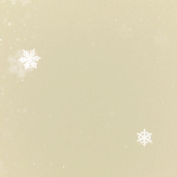 石家庄包探长