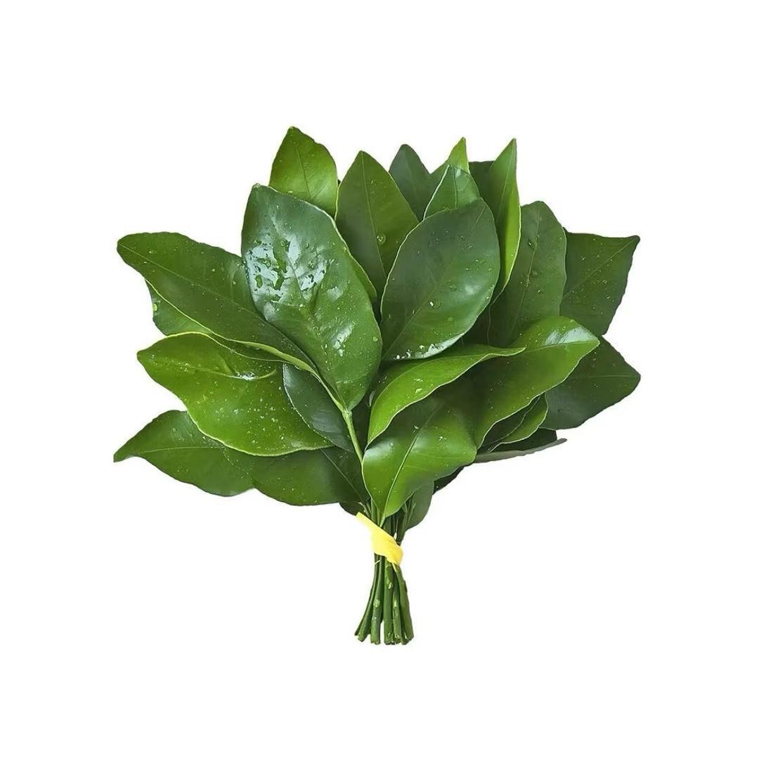 Rr