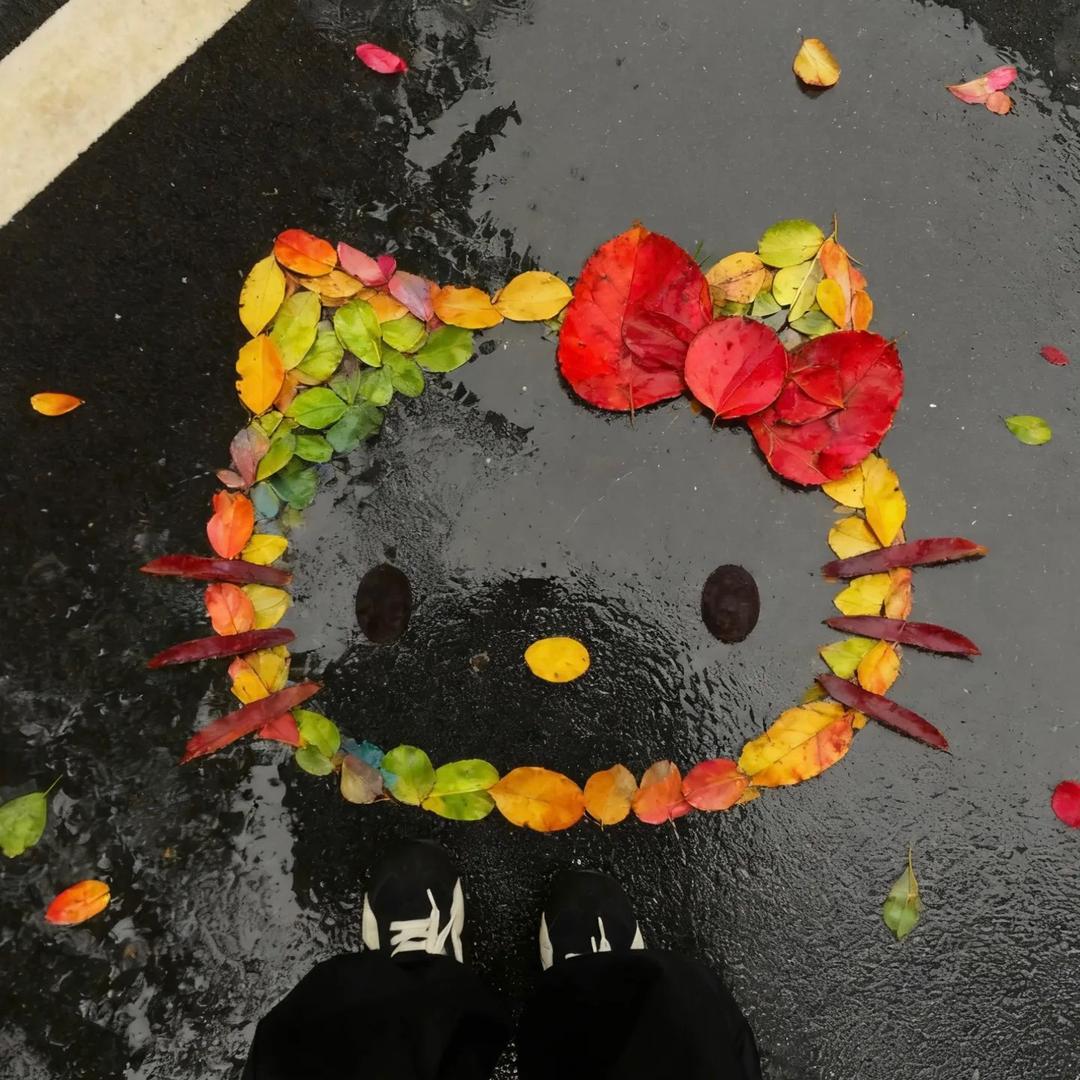 可可🩵
