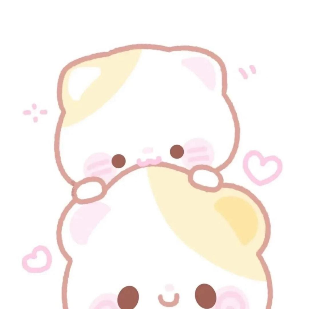 小猫🐈