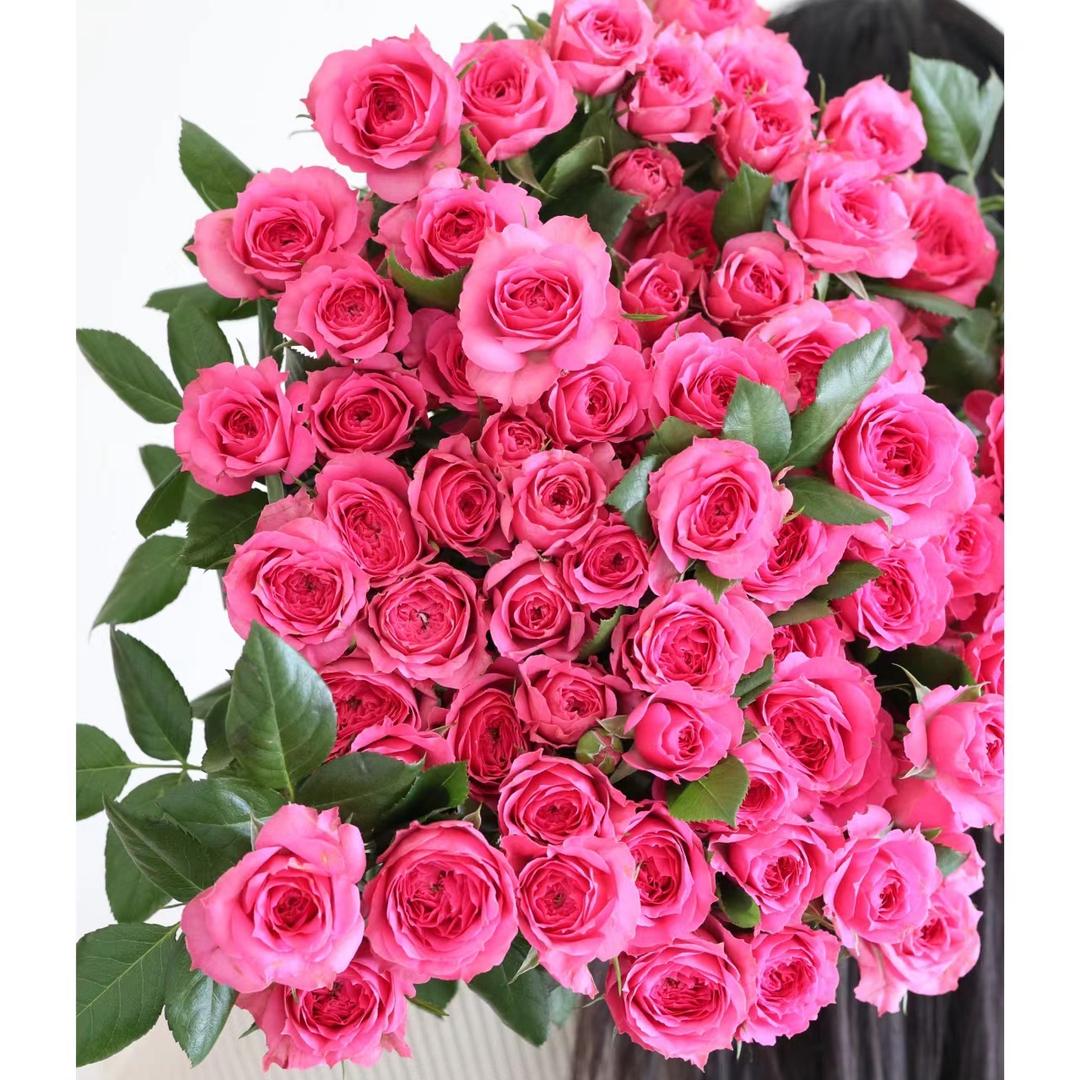 云南鲜花🌷