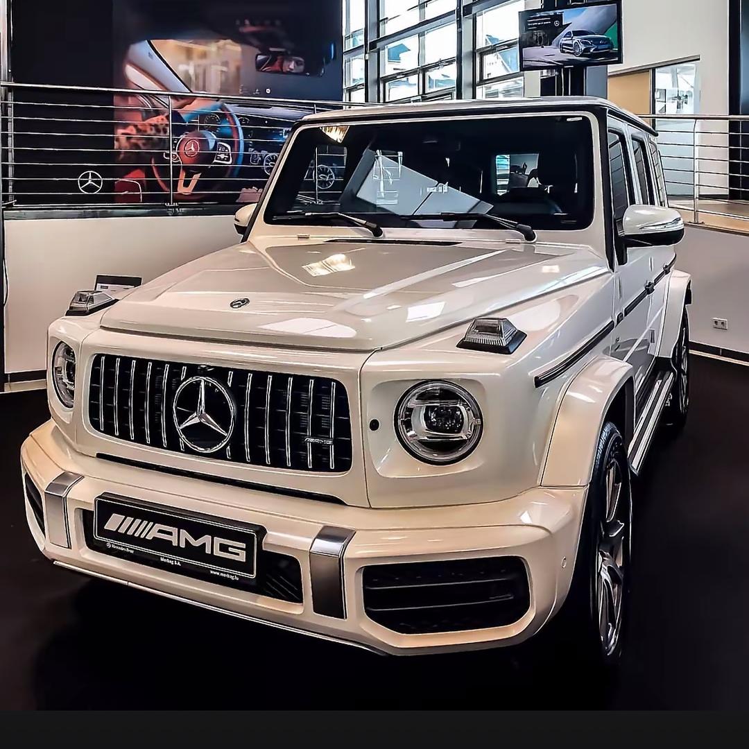 冬子说车
