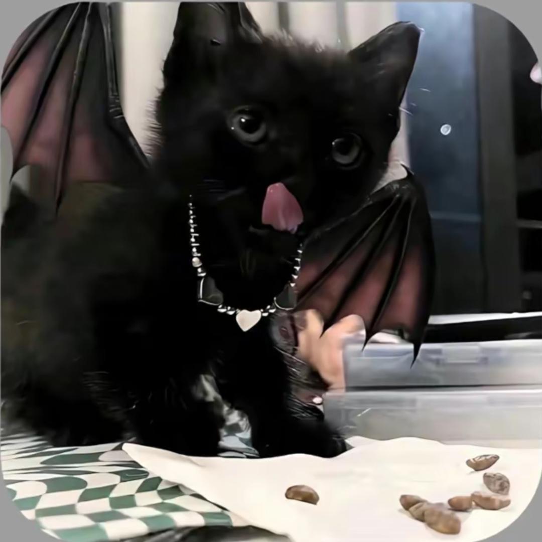 十一в октяре