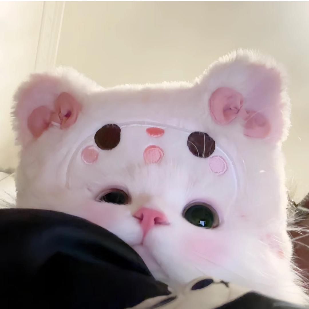 蕉蕉阳