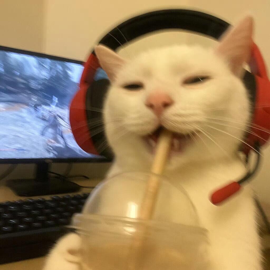 大盘子