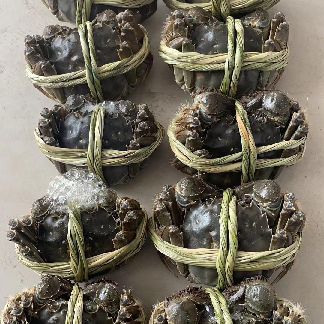 精品螃蟹礼盒🎁
