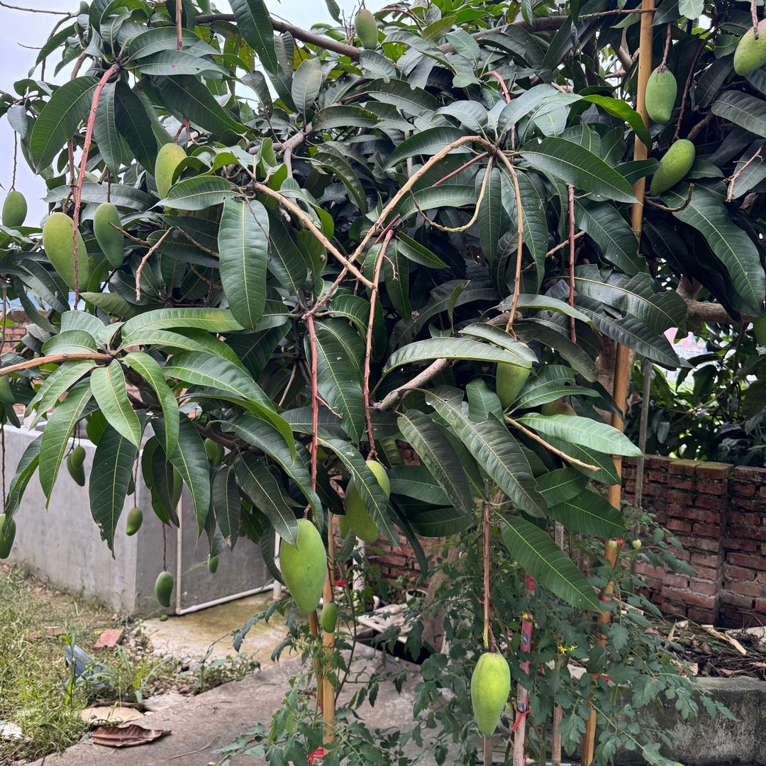 悠悠生活馆
