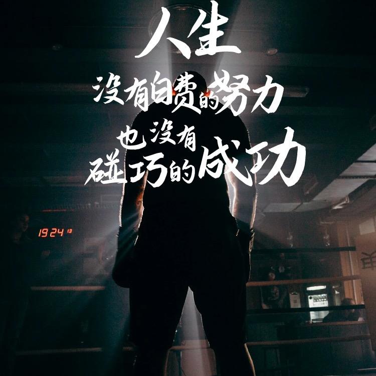 大脑🐯