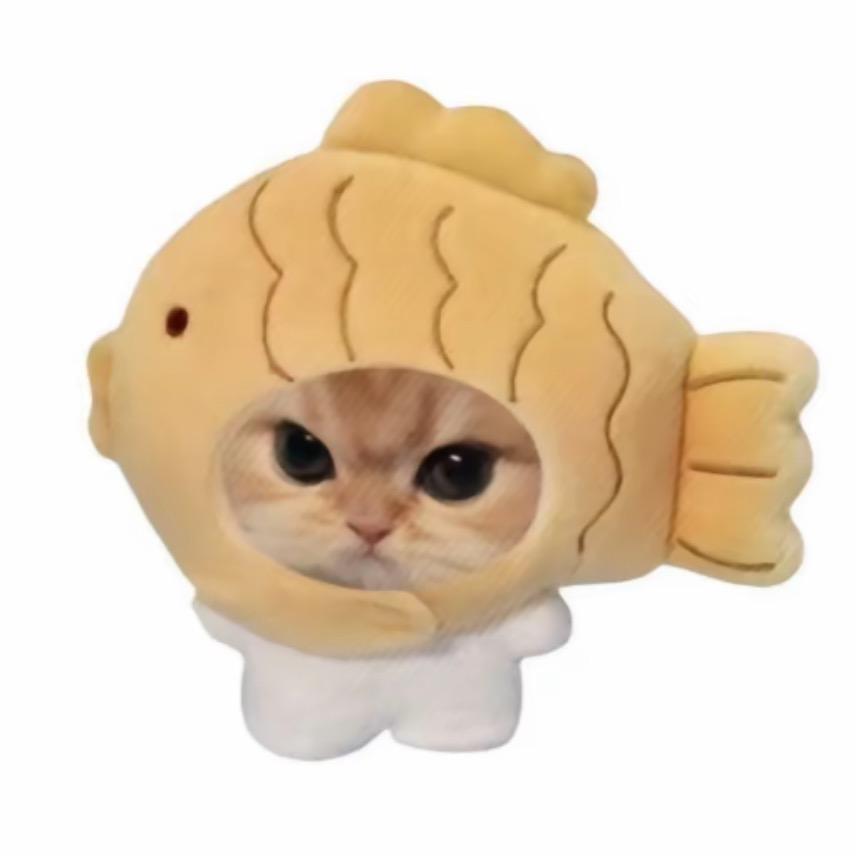 康康、