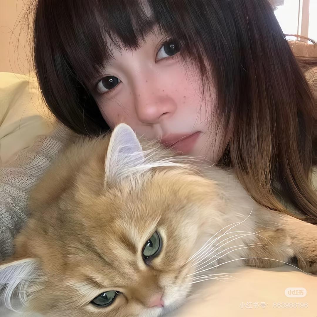 锤锤酱.