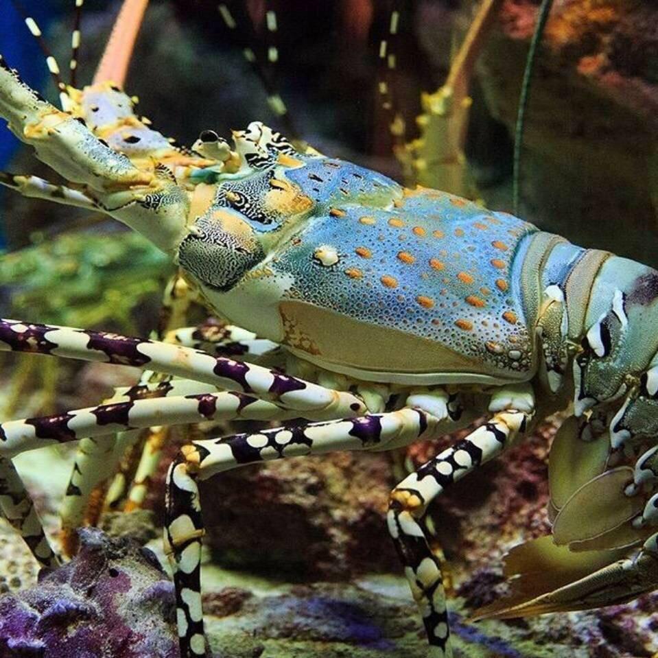 浩子赶海