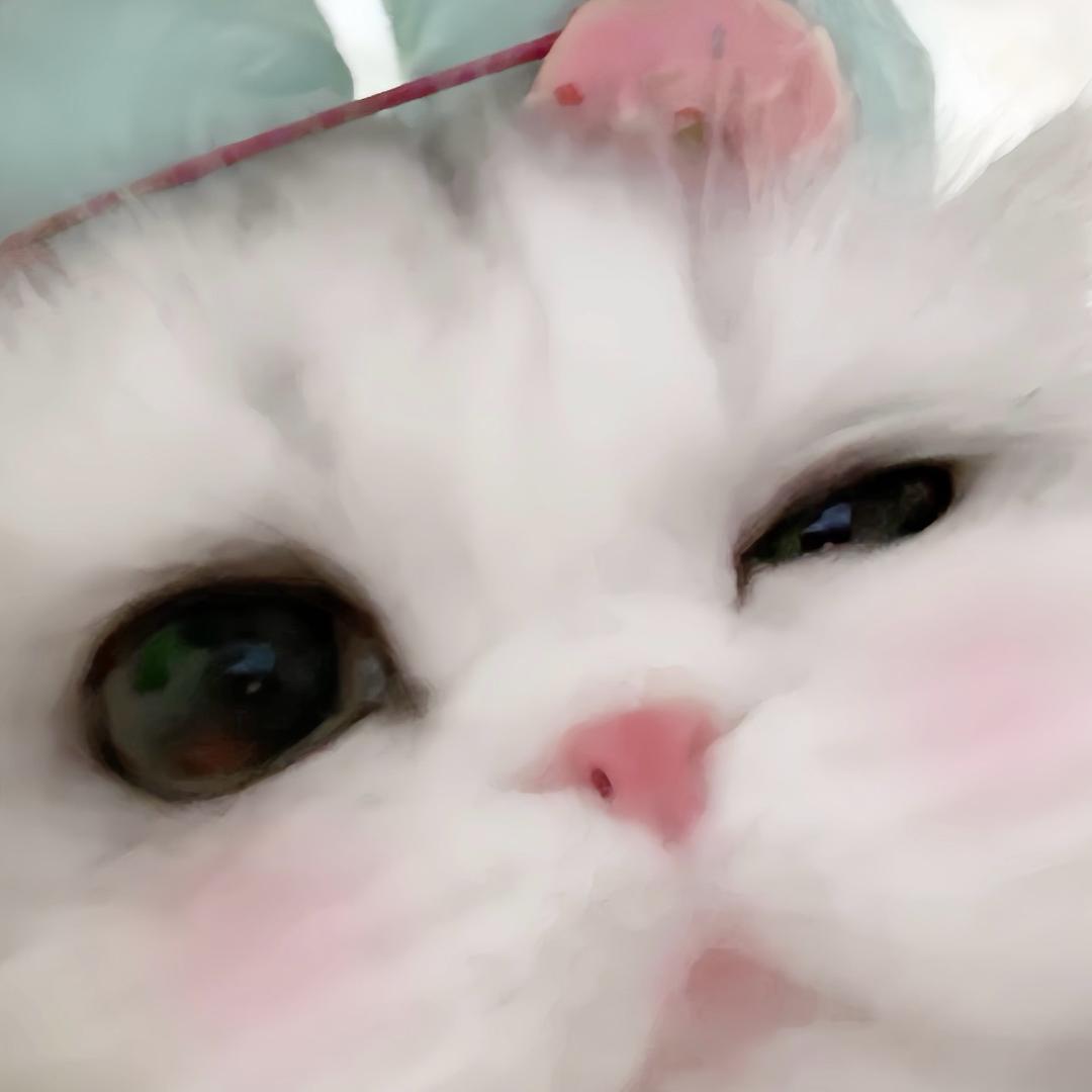 oo