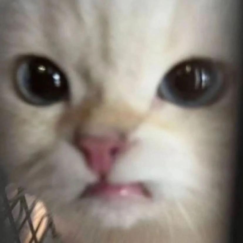 嘿嘿
