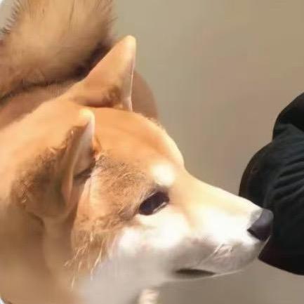 肖遥不逍遥