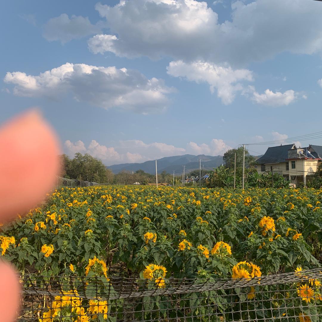 执着