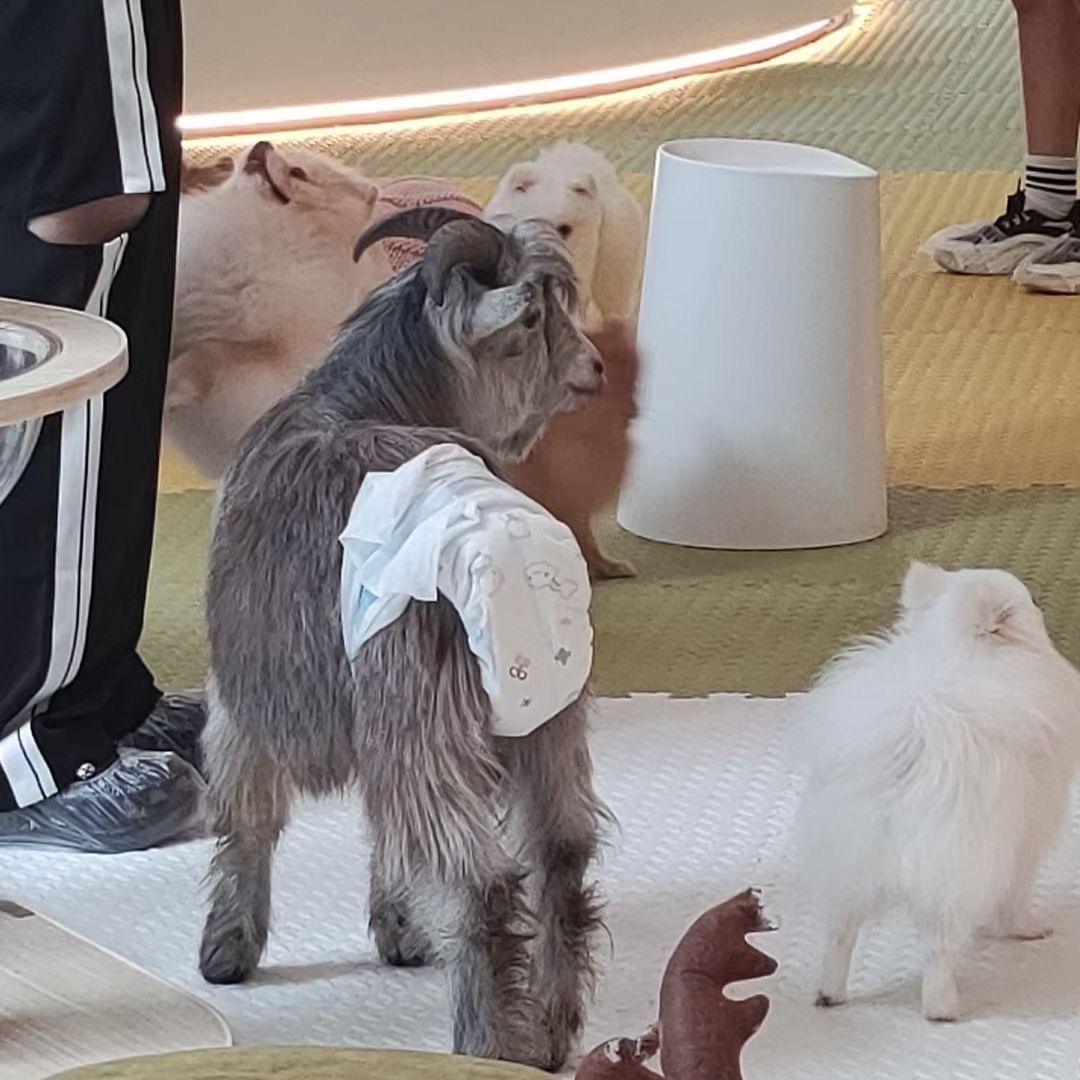 林止默