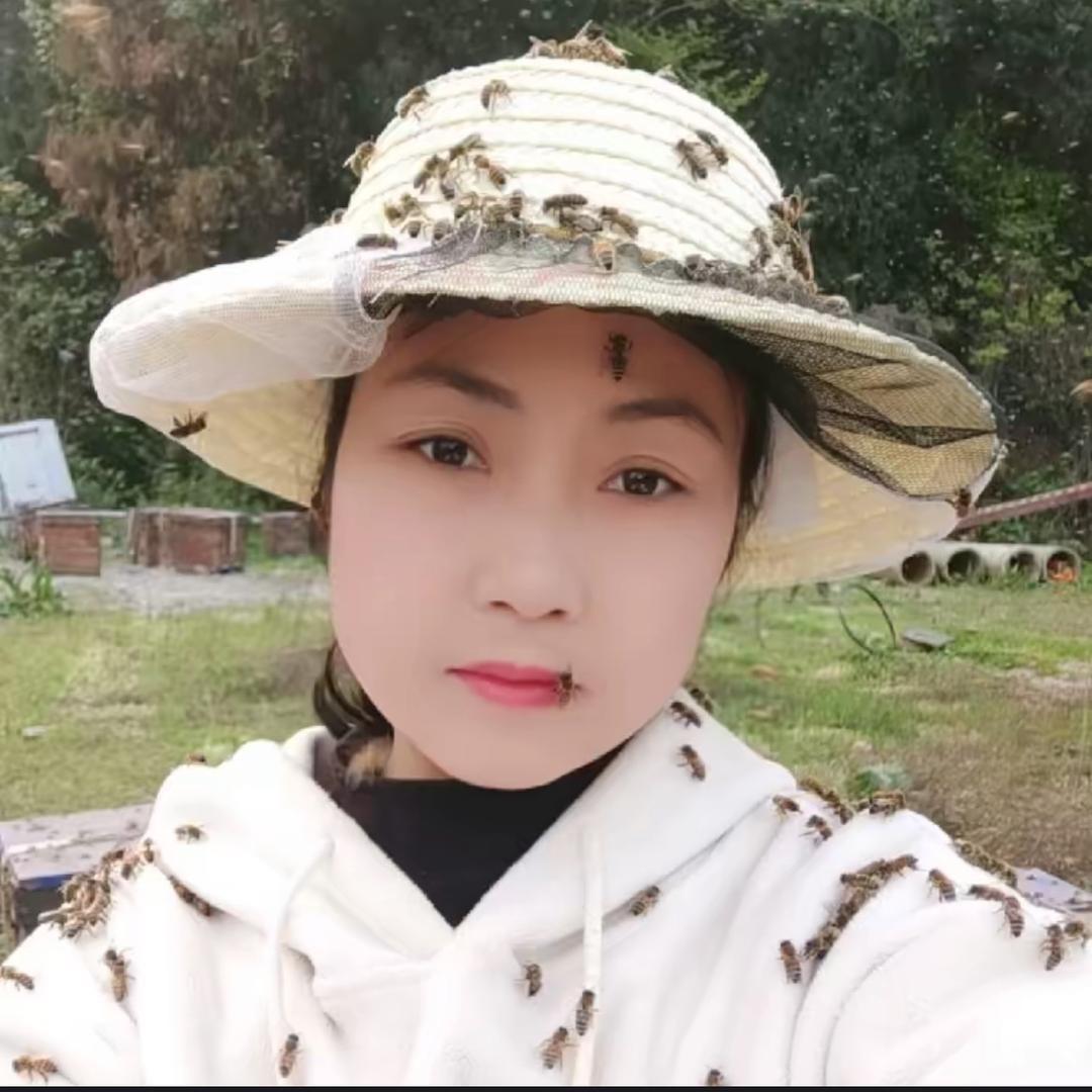 放蜂妹儿黄琴