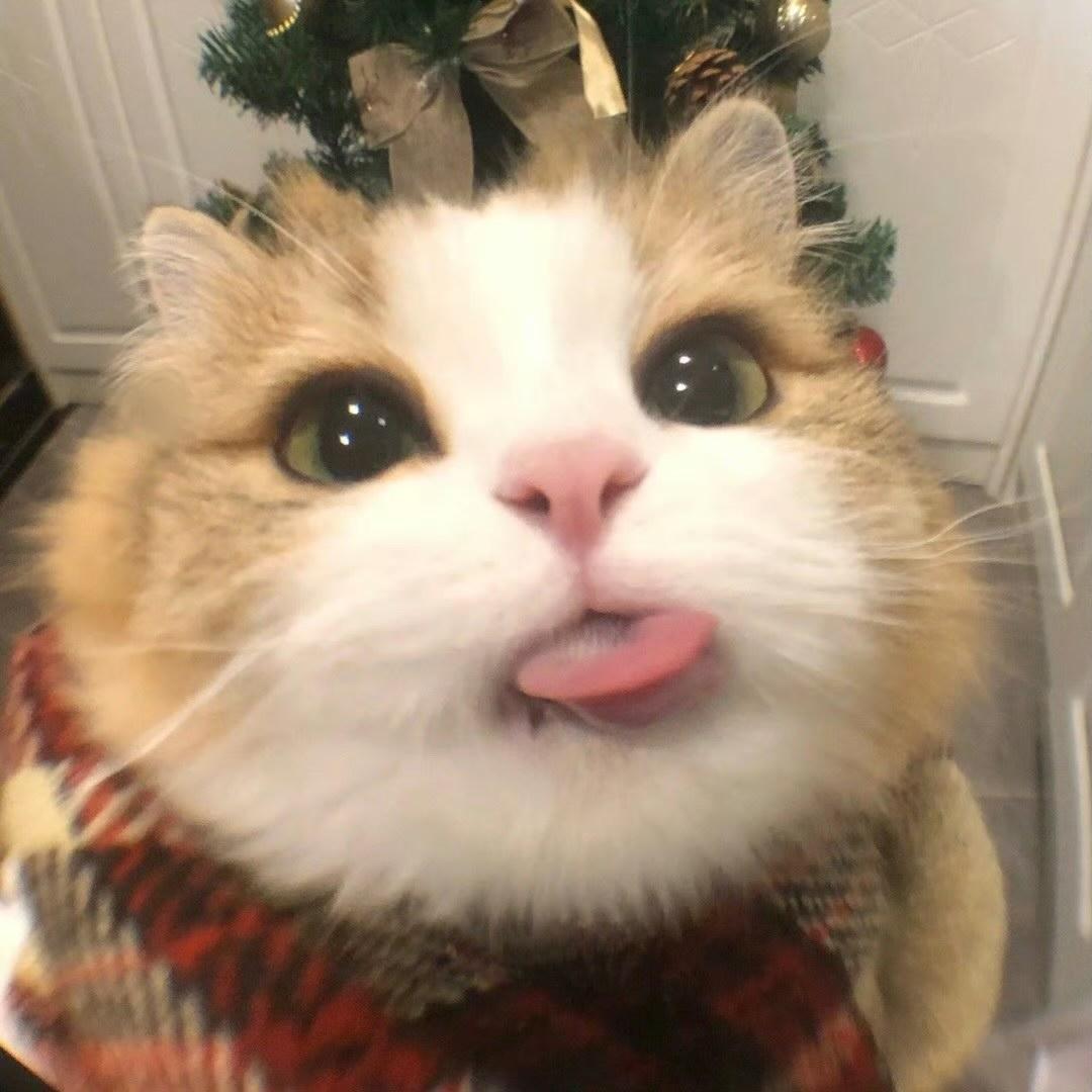 在逃郡主