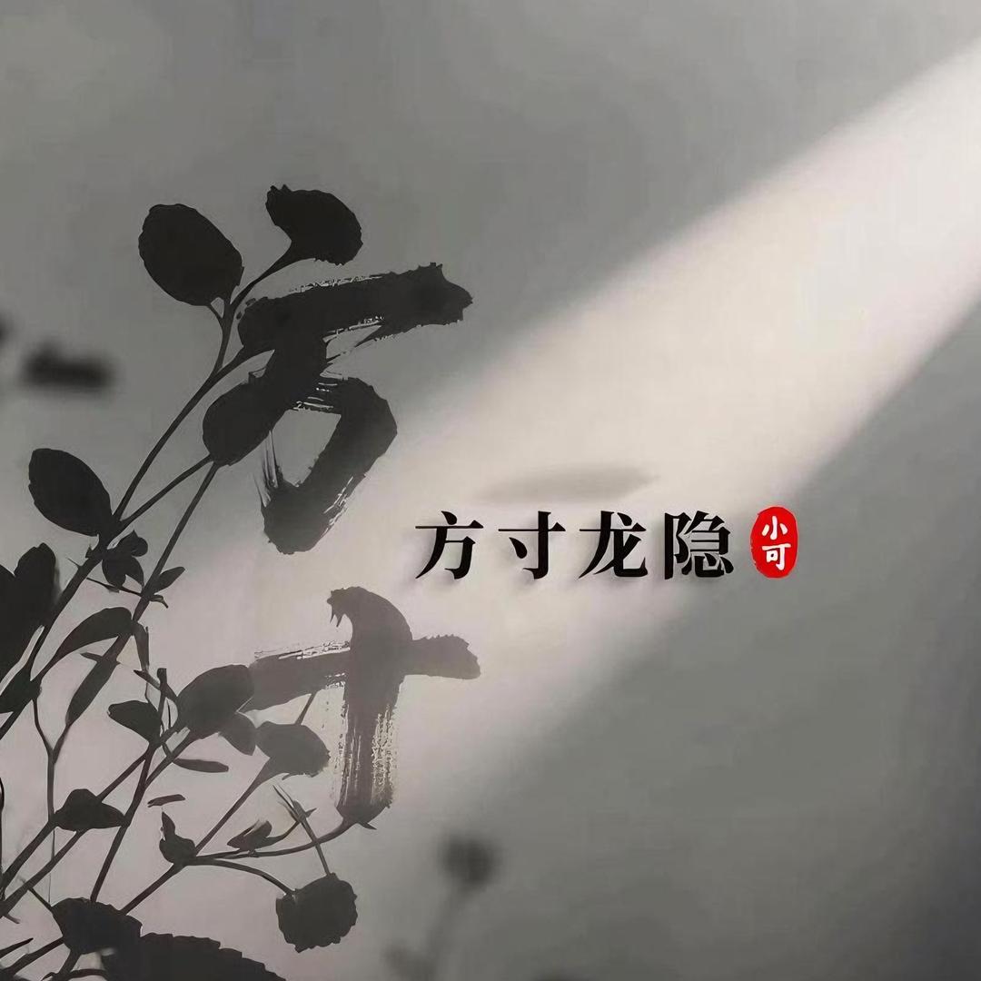 【方寸龙隐】•小可