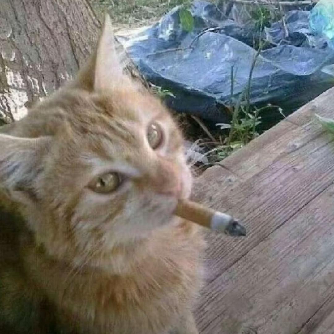 :-P