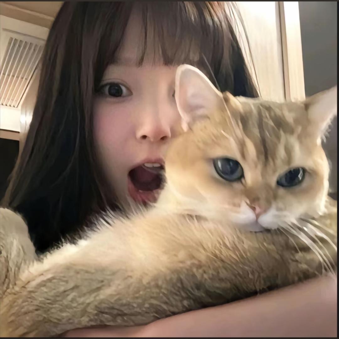 谢了个乔^