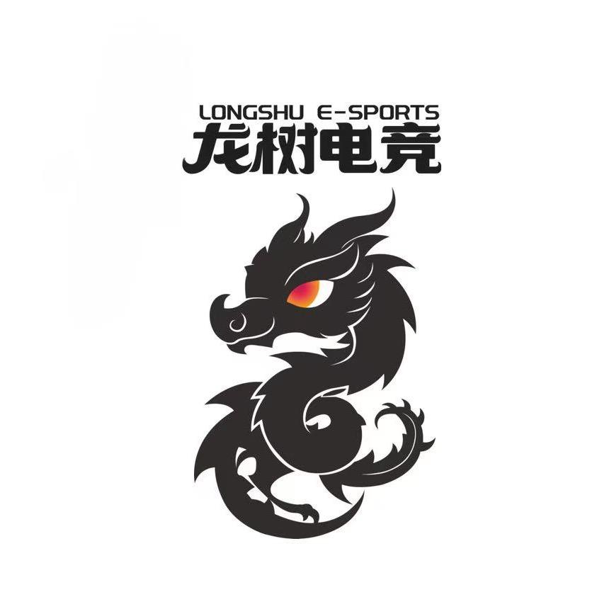龙树电竞（荷叶塘店）