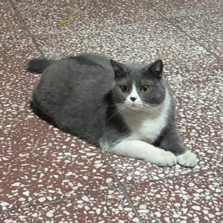所以呢