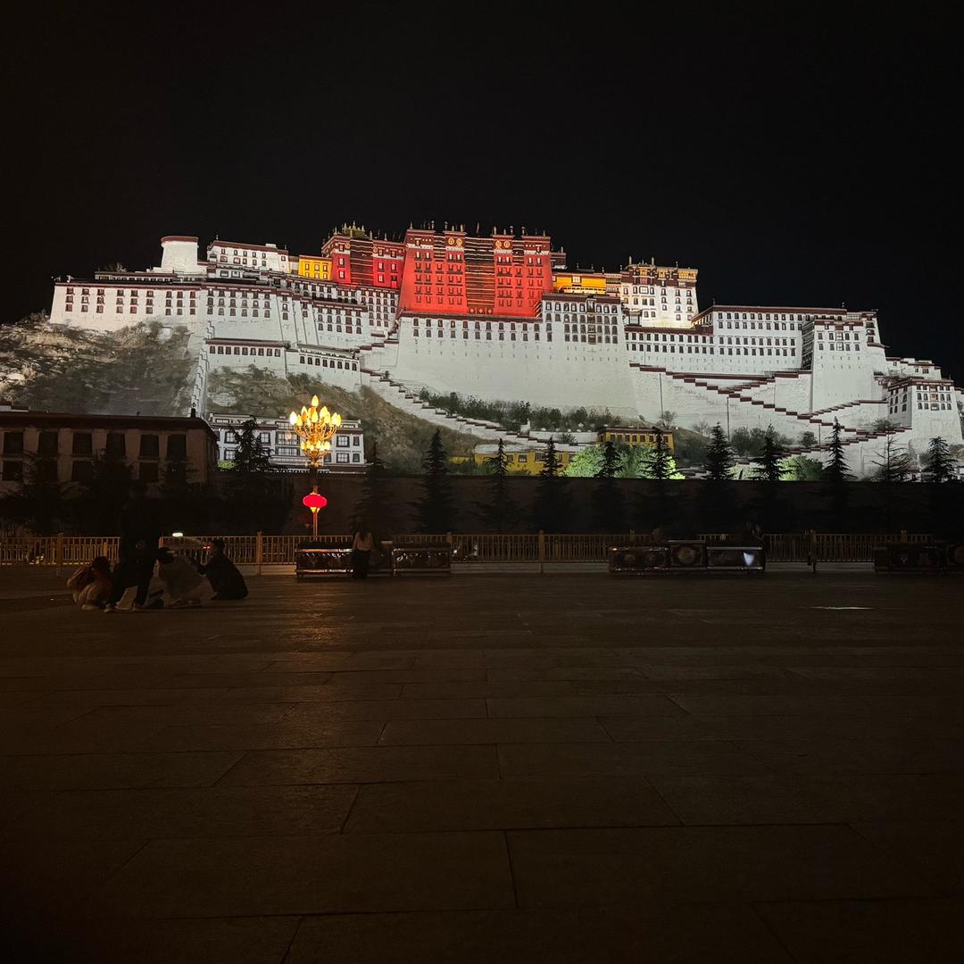 小龙哥带你走天涯