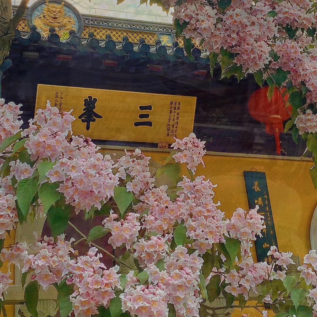 悟道（可私信）