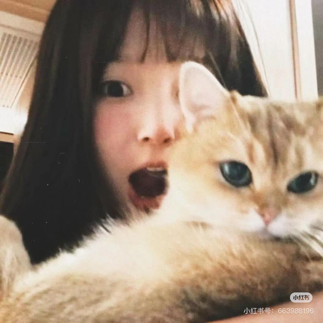 小雨爱📷