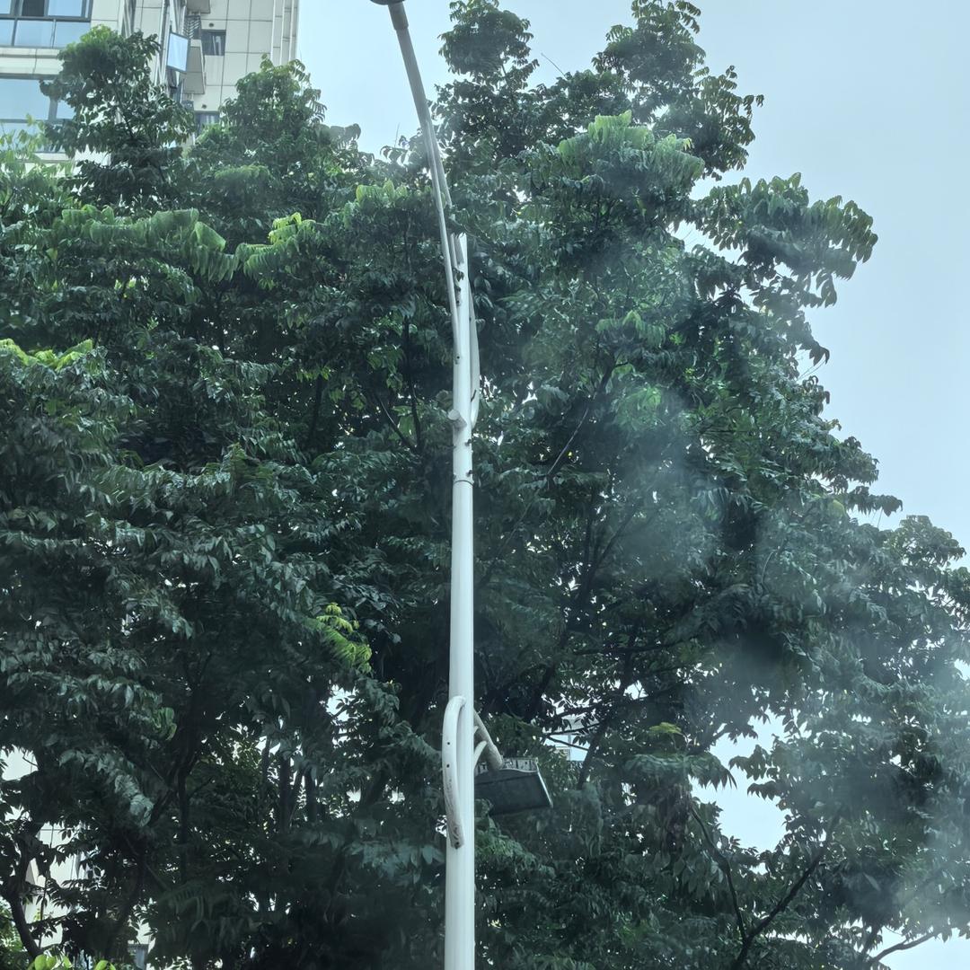 洪芦师傅