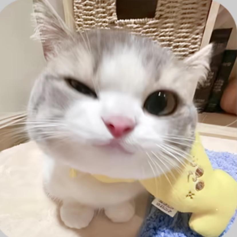 전편.