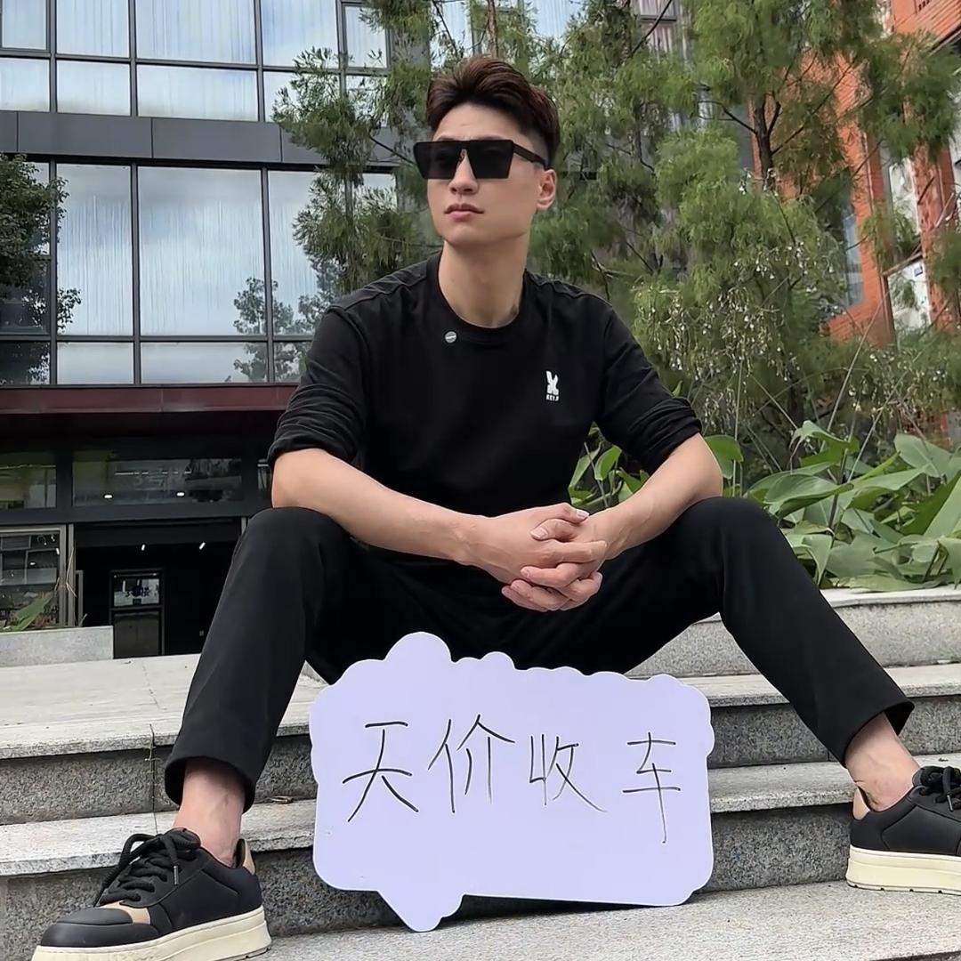 大庞瑕疵二手车