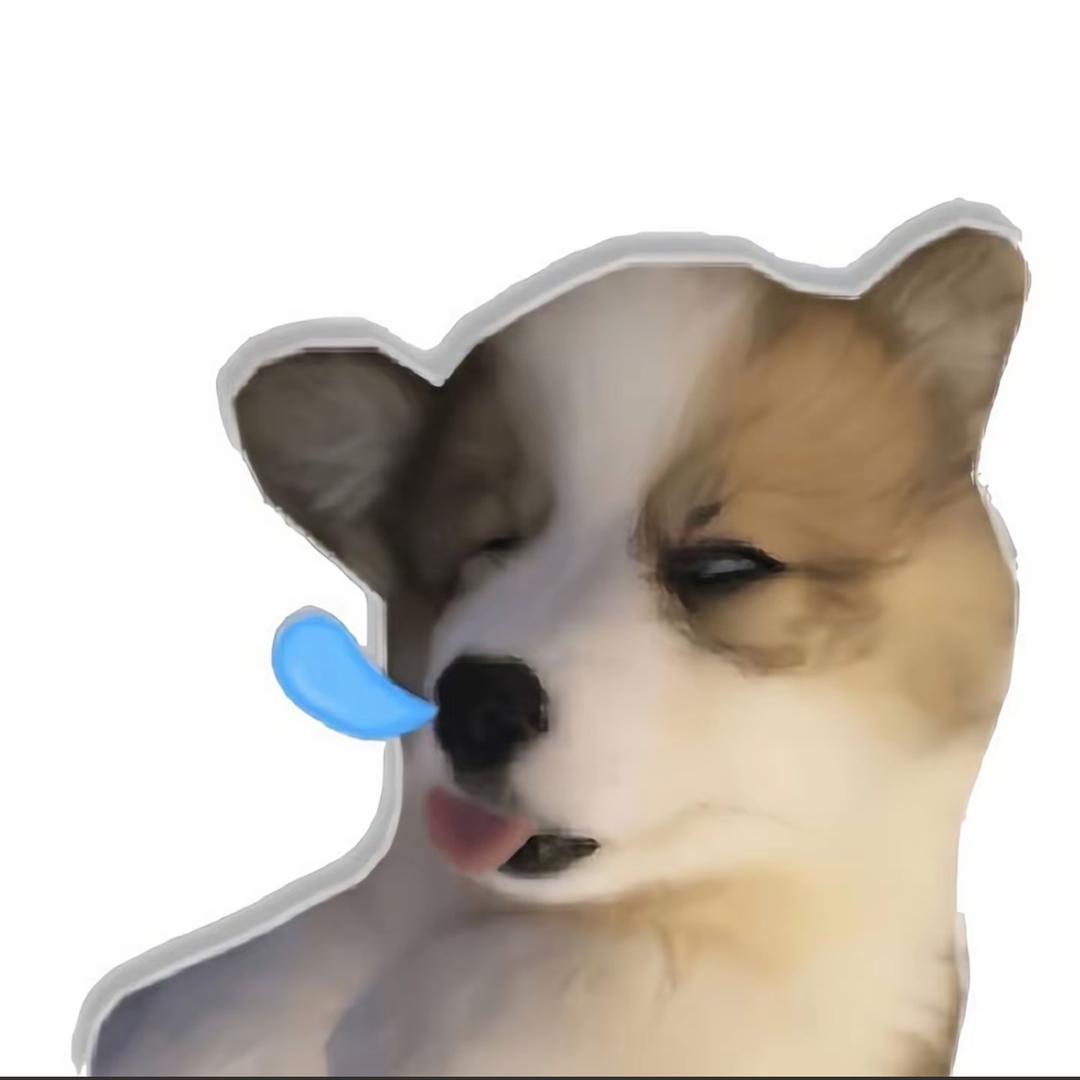 开心Y子