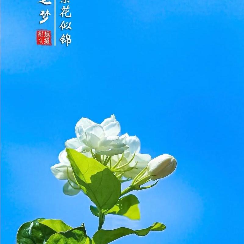蕲春县明立百货店（个体工商户）