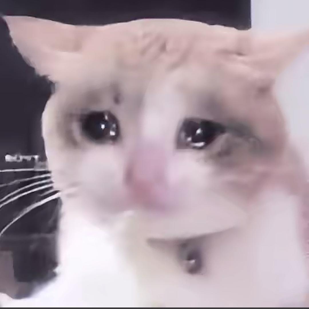 宴子