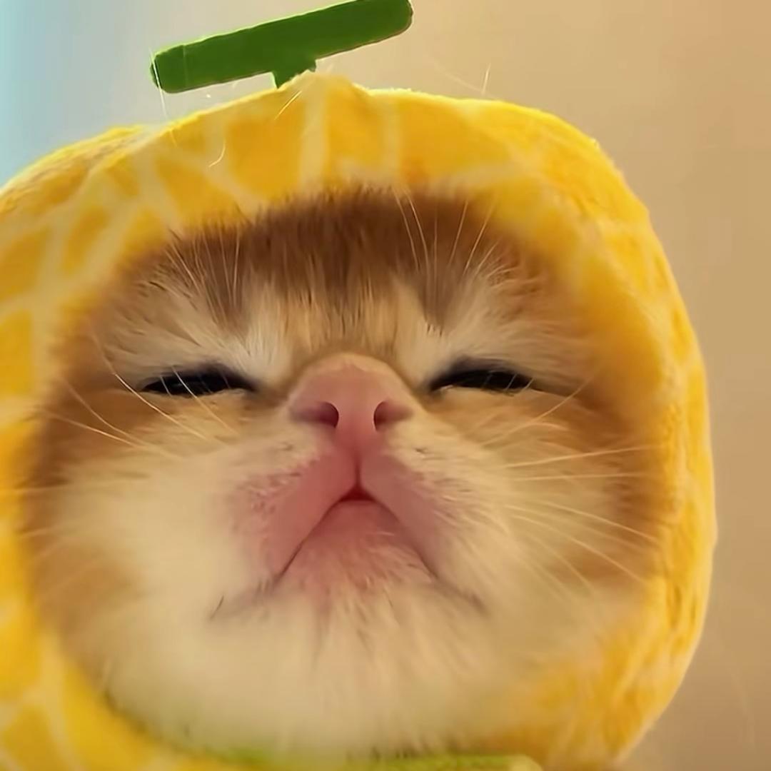 乔.