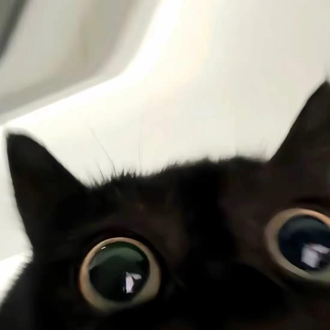 莉莉安.