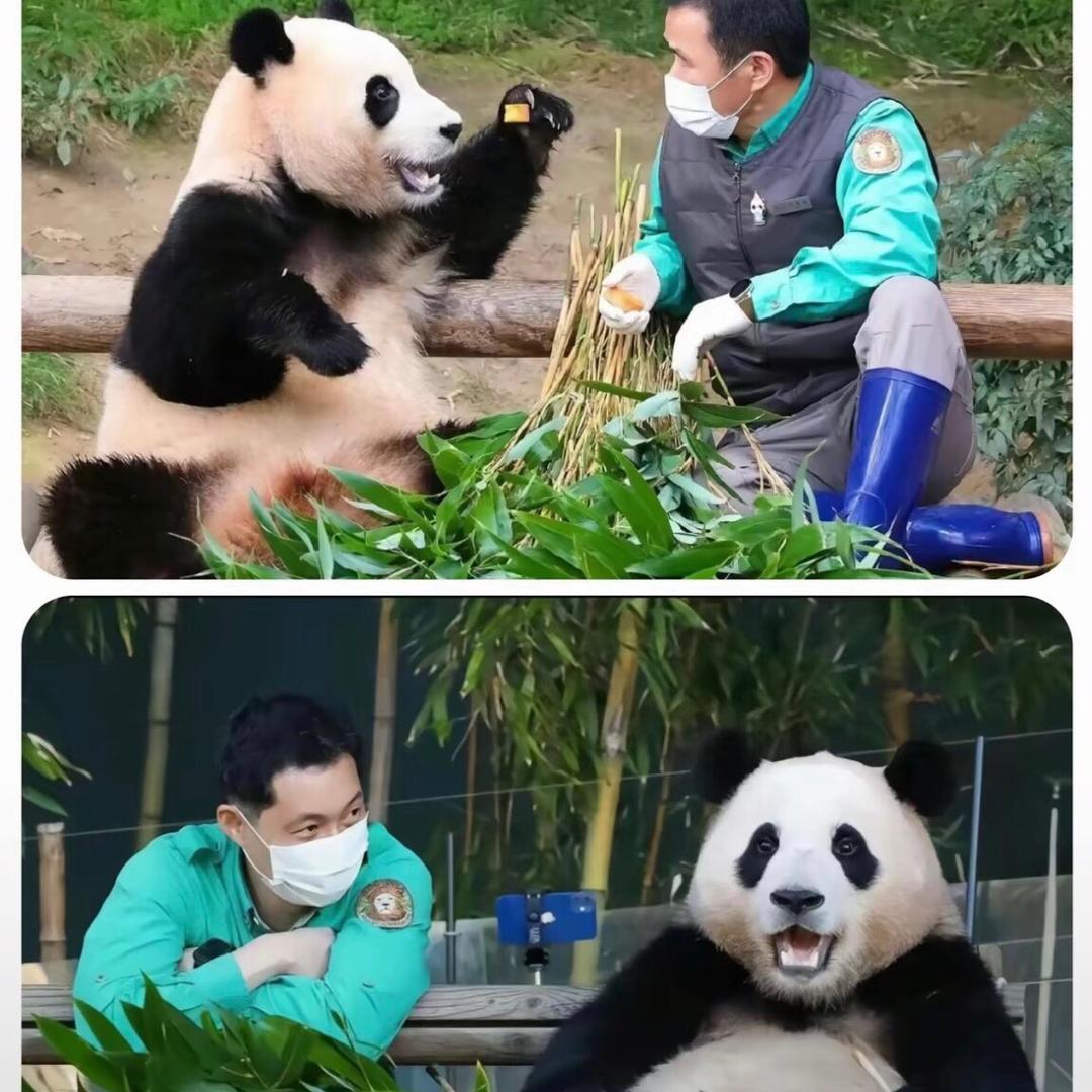 宝家族乐园😌