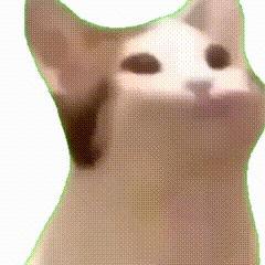 Lazy Dairy懒宅日记